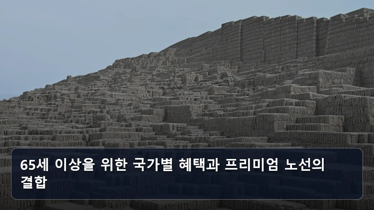 65세 이상을 위한 국가별 혜택과 프리미엄 노선의 결합 관련 이미지