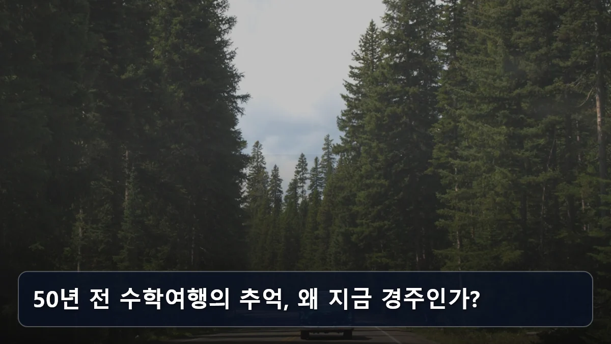 50년 만의 재회, 경주 황룡사 발굴 50주년 기념: 액티브 시니어를 위한 고품격 '뉴트로' 역사 스테이 전략 2 50년 전 수학여행의 추억, 왜 지금 경주인가? 관련 이미지