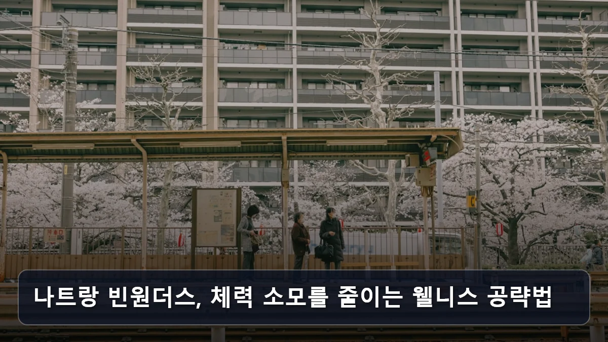 도쿄 디지털 아트부터 나트랑 빈원더스까지: ‘시니어 할인’ 팩트 체크로 완성하는 스마트한 해외 웰니스 여행 3 나트랑 빈원더스, 체력 소모를 줄이는 웰니스 공략법 관련 이미지