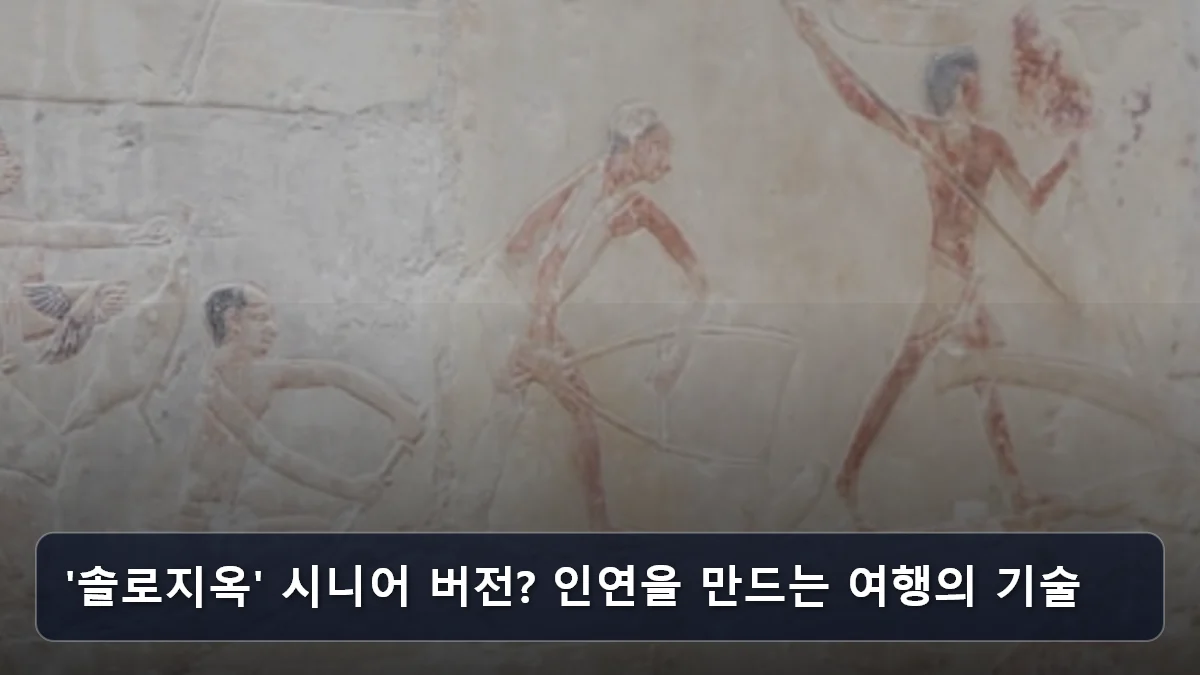 '솔로지옥' 시니어 버전? 인연을 만드는 여행의 기술 관련 이미지