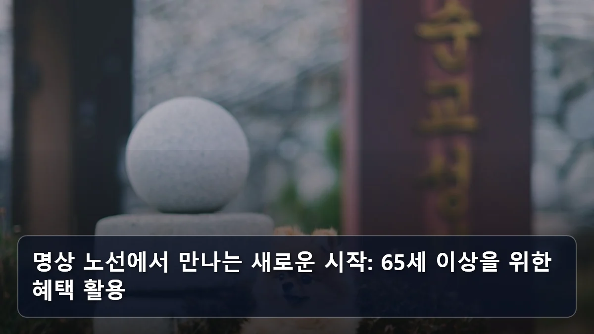 명상 노선에서 만나는 새로운 시작: 65세 이상을 위한 혜택 활용 관련 이미지