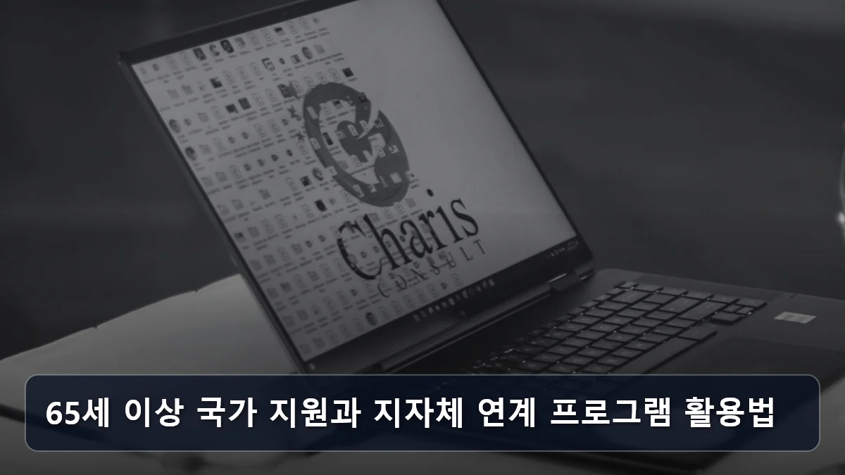 관객에서 주인공이 되는 여행: 김해 '시니어 패션쇼' 사례로 본 6070 참여형 문화 축제 및 지자체 혜택 분석 5 65세 이상 국가 지원과 지자체 연계 프로그램 활용법 관련 이미지