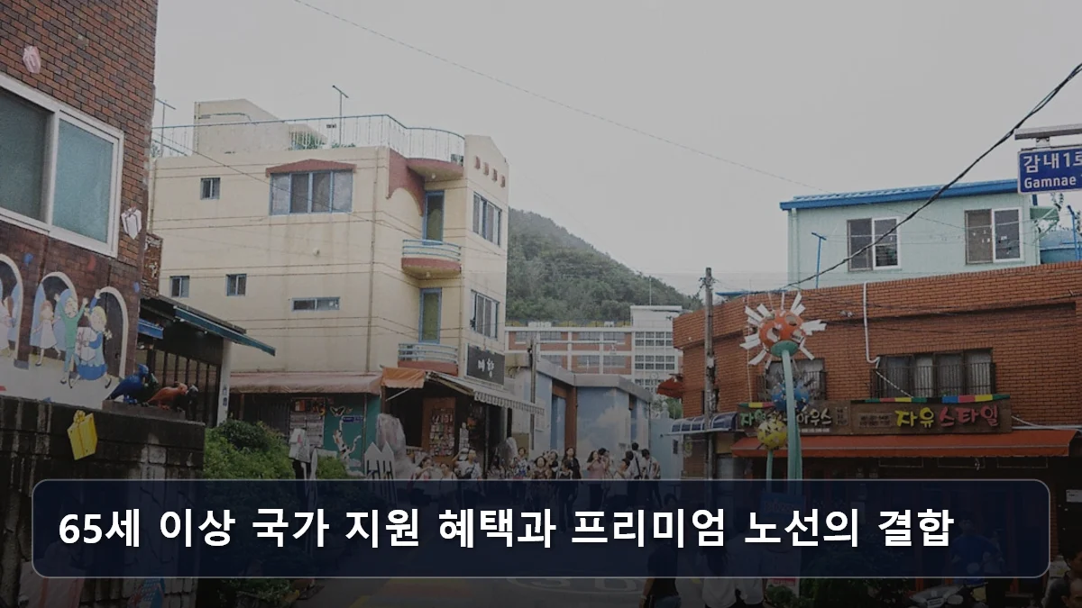 65세 이상 국가 지원 혜택과 프리미엄 노선의 결합 관련 이미지